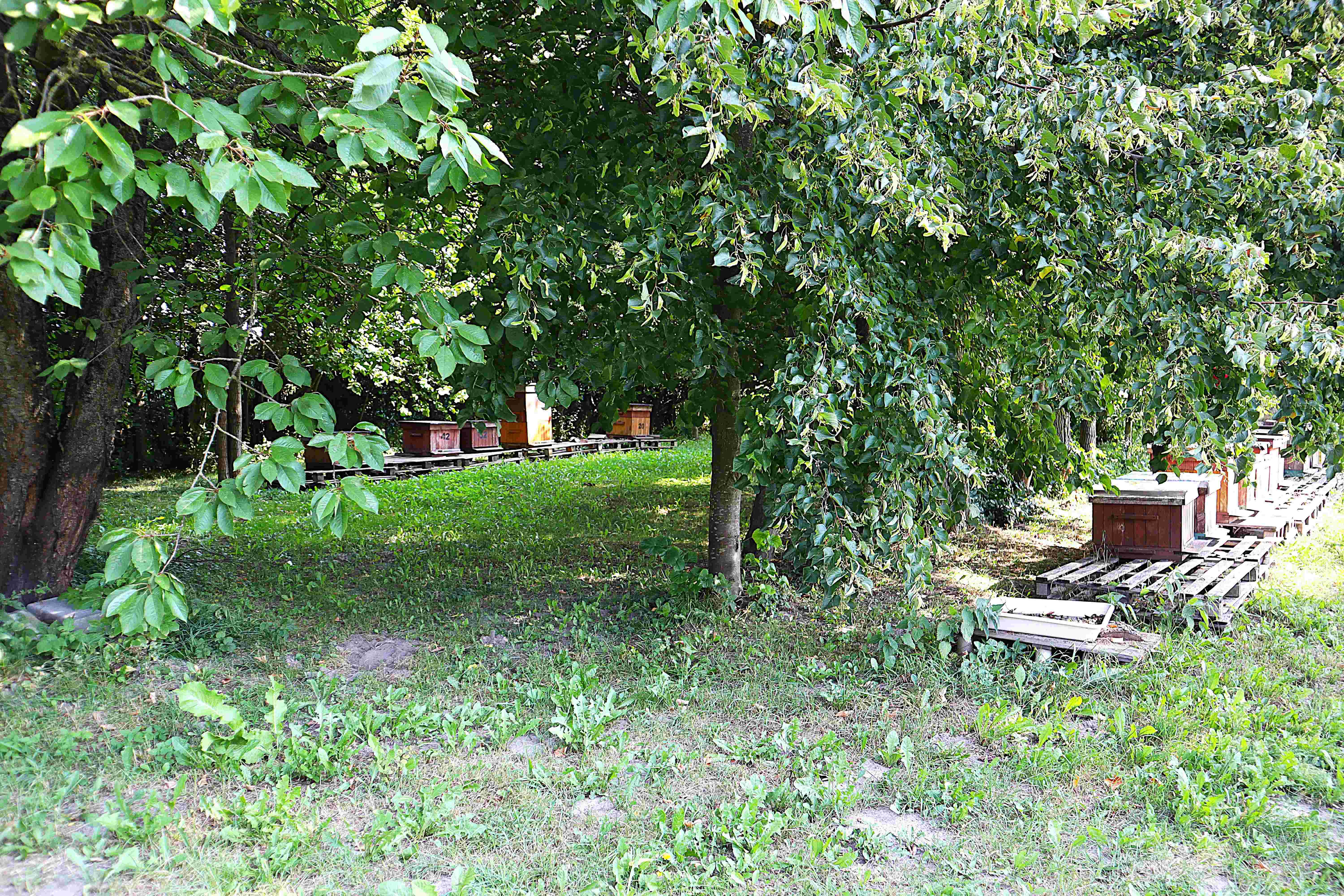 lead-image